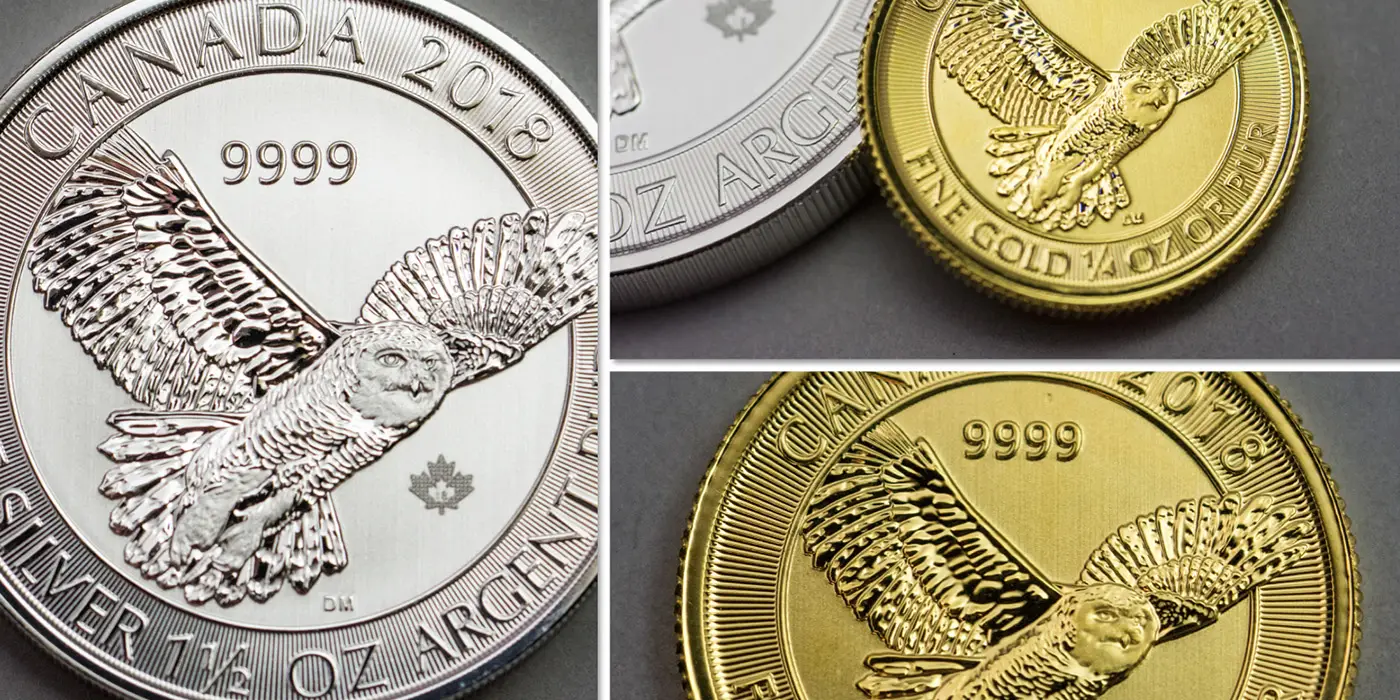 Snowy owl gold and silver coins